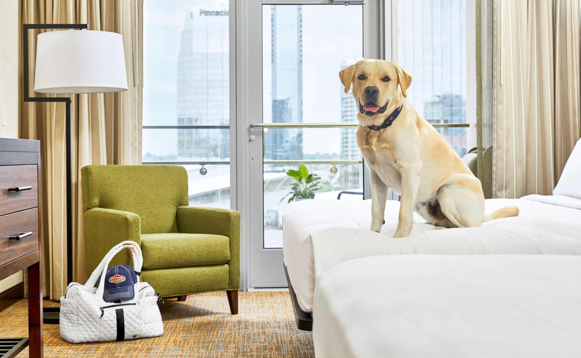 Embassy Suites By Hilton Nashville Downtown Luaran gambar